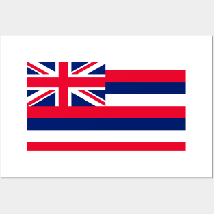 Hawaii Flag Posters and Art